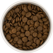 Karma sucha dla psa dorosłego ras średnich LabraDog Superfood GFH Indyk z batatami i żurawiną