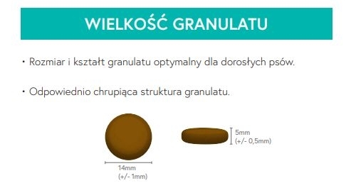 Karma sucha dla psa dorosłego ras średnich LabraDog Superfood GFH Indyk z batatami i żurawiną