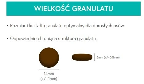 Karma sucha dla psa dorosłego ras średnich ze skłonności