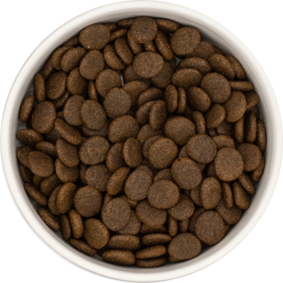 Karma sucha dla psa dorosłego rasy średniej ze skłonnością do nadwagi LabraDog Superfood GFE Senior&Light pstrąg z łososiem, batatami i szparagami