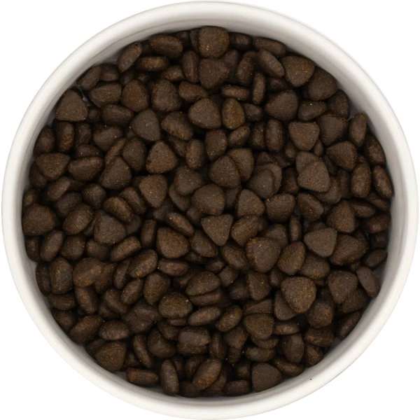 Karma sucha dla psa dorosłego rasy małej LabraDog Superfoo