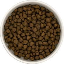 Karma sucha dla psa dorosłego rasy małe SFA LabraDog Superfood Premium Wołowina Angus z marchewką, zieloną fasolką, kalafiorem, pomidorami i cukinią