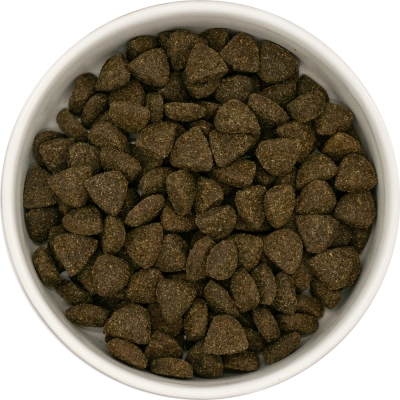Karma sucha dla psa dorosłego rasy średniej SFL LabraDog Superfood Premium Brytyjska Jagnięcina z miętą, granatem, morwą brokułami i  fenkułem