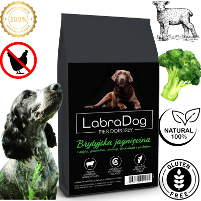 Karma sucha dla psa dorosłego rasy średniej SFL LabraDog Superfood Premium Brytyjska Jagnięcina z miętą, granatem, morwą brokułami i  fenkułem