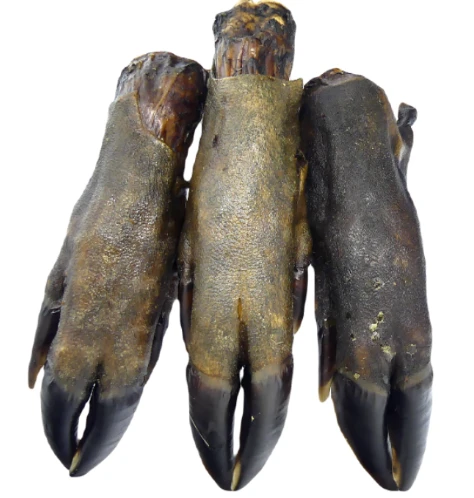 LabraDog Superfood Suszona racica dzika