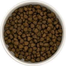 Karma sucha dla psa dorosłego rasy małej SFE LabraDog Superfood Premium Indyk z wolnego wybiegu z pietruszką, papają, pokrzywą, cukinią i dynią