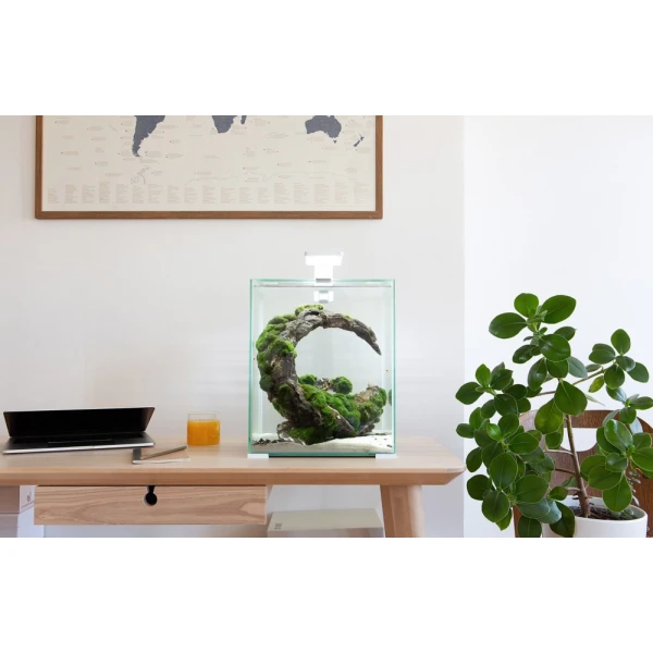 SHRIMP SET SMART D&N 30 Czarny