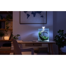 SHRIMP SET SMART D&N 20 Czarny