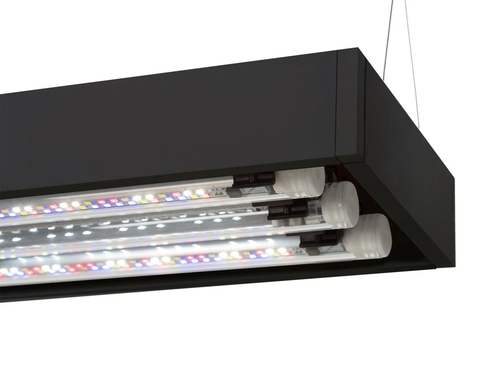 Aquael  zstaw akwarystyczny ULTRASCAPE 60 FOREST SET