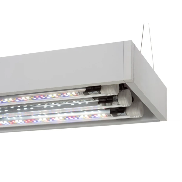 Aquael  zstaw akwarystyczny ULTRASCAPE 60 SNOW SET