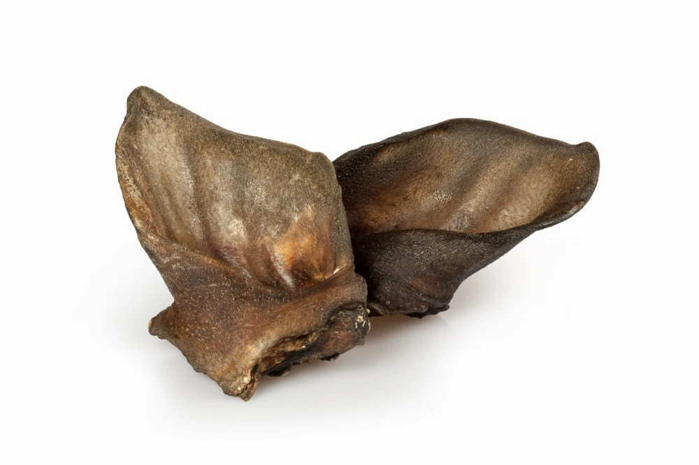 Petmex Ucho dzika naturalnie suszone 2szt