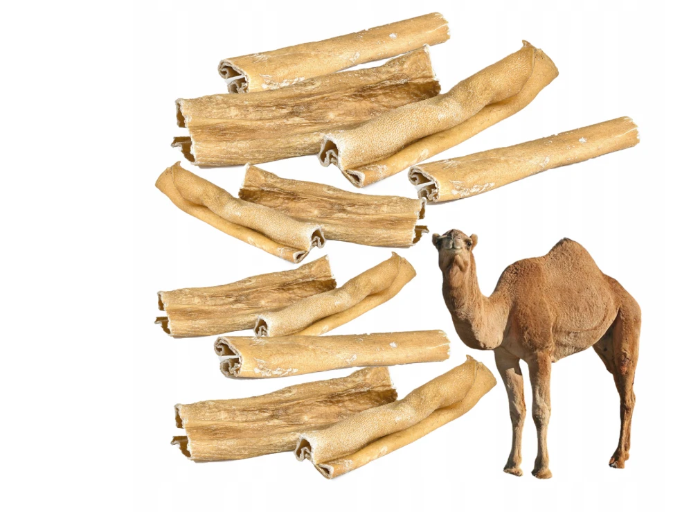 Petmex Skóra Wielbłąda 200g