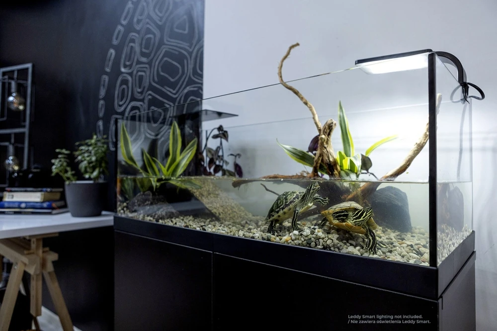 AQUATERRARIUM dla żółwia 60