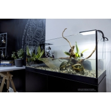 AQUATERRARIUM dla żółwia 60