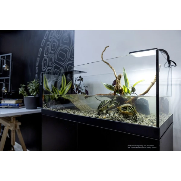 AQUATERRARIUM dla żółwia 60
