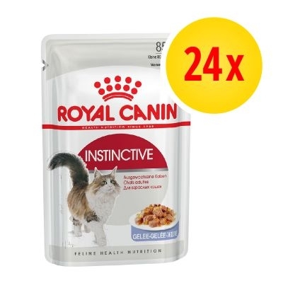 Karma mokra dla kota Royal Canin Felin Instinctive adult in jelly saszetka12x 85g