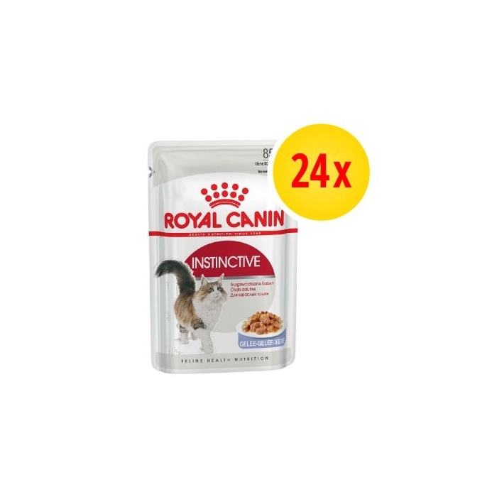 Karma mokra dla kota Royal Canin Felin Instinctive adult in jelly saszetka12x 85g