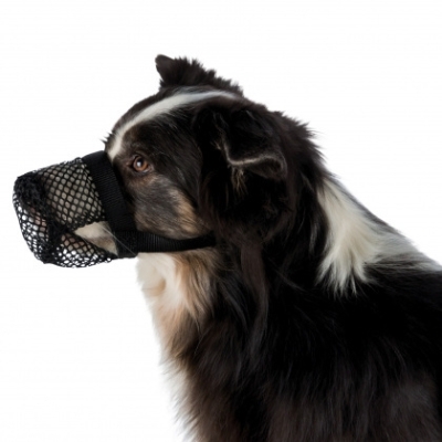 Trixie Poliestrowy kaganiec dla psa chroniący przed trutkami Xs, S, M, L, XL