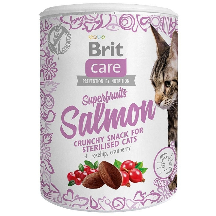 Przysmaki dla kota Brit Care Cat Snack Superfruits Salomon 100g